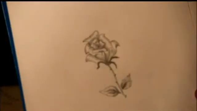 Алғашқы махаббат