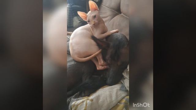 08.03.24.8 марта.Международный женский день.У всех выходной,а у меня рабочий.