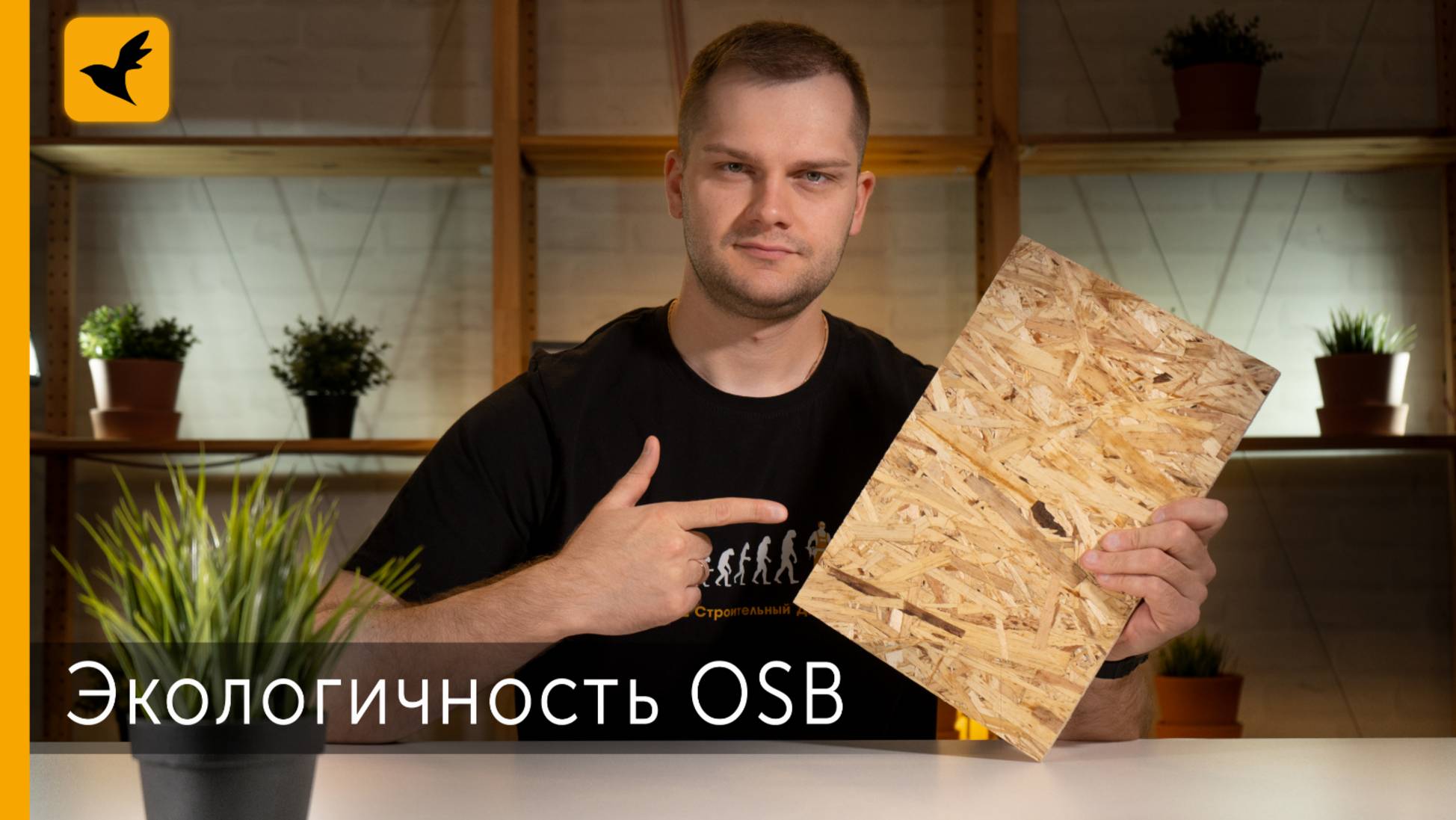 OSB. ЭКОЛОГИЧНОСТЬ смотреть онлайн