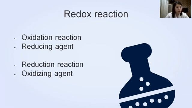Electrochemistry (Chemistry Project) - Vanessa F