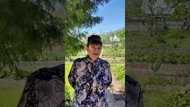 Надежда Смирнова_отзыв на программу _Сердце_ смотреть онлайн