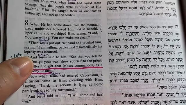 (#125) The Alef Tav in Lev 13:12 points to Yeshua, but which prophecy? смотреть онлайн