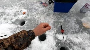 Зимняя рыбалка на ПЛОТВУ. Отличный КЛЁВ! Ладожское озеро. На мотобуксировщике по льду.