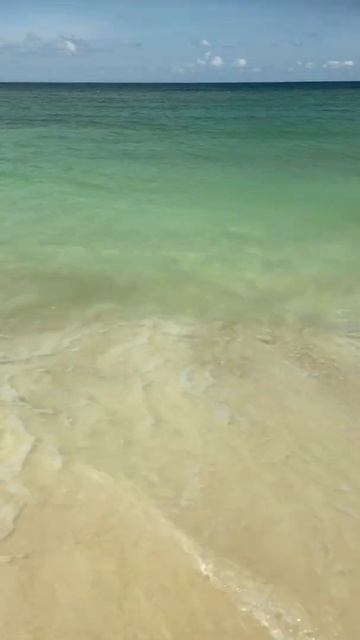 Ocean noise.Шум океана.#shorts смотреть онлайн