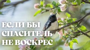 Если бы Спаситель не воскрес. Пасхальная песня