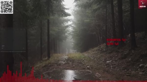 Music Info News 14.03.2025