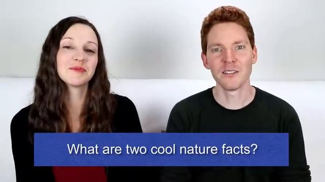 90 minutes English conversation смотреть онлайн