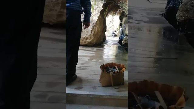 13 октября 2022 г.(4) смотреть онлайн