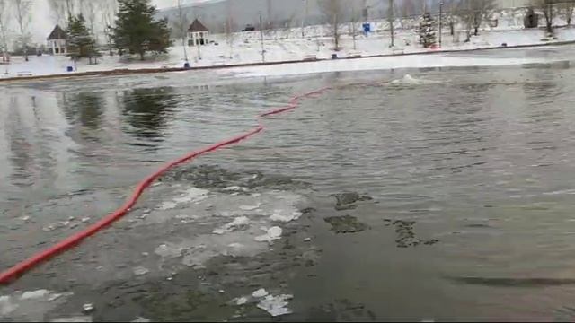 WhatsApp Video 2025-03-17 at 16.59.06 смотреть онлайн