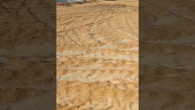 Море и пляж в Витязево. смотреть онлайн