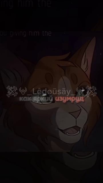 #КотыВоители#Кленовница