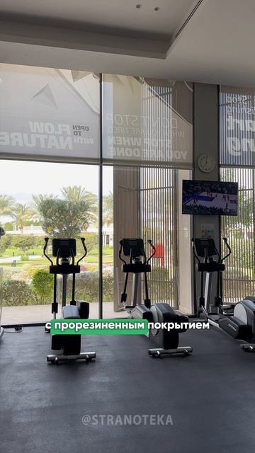 Кофейня с видом на море и конное ранчо – уникальность самого дорогого отеля ХУРГАДЫ? 🇪🇬 смотреть онлайн