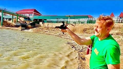 Мы снова выпускаем СПАСЕННЫХ КРАСНОКНИЖНЫХ ПТИЦ, а наши друзья прислали рыбку дл смотреть онлайн