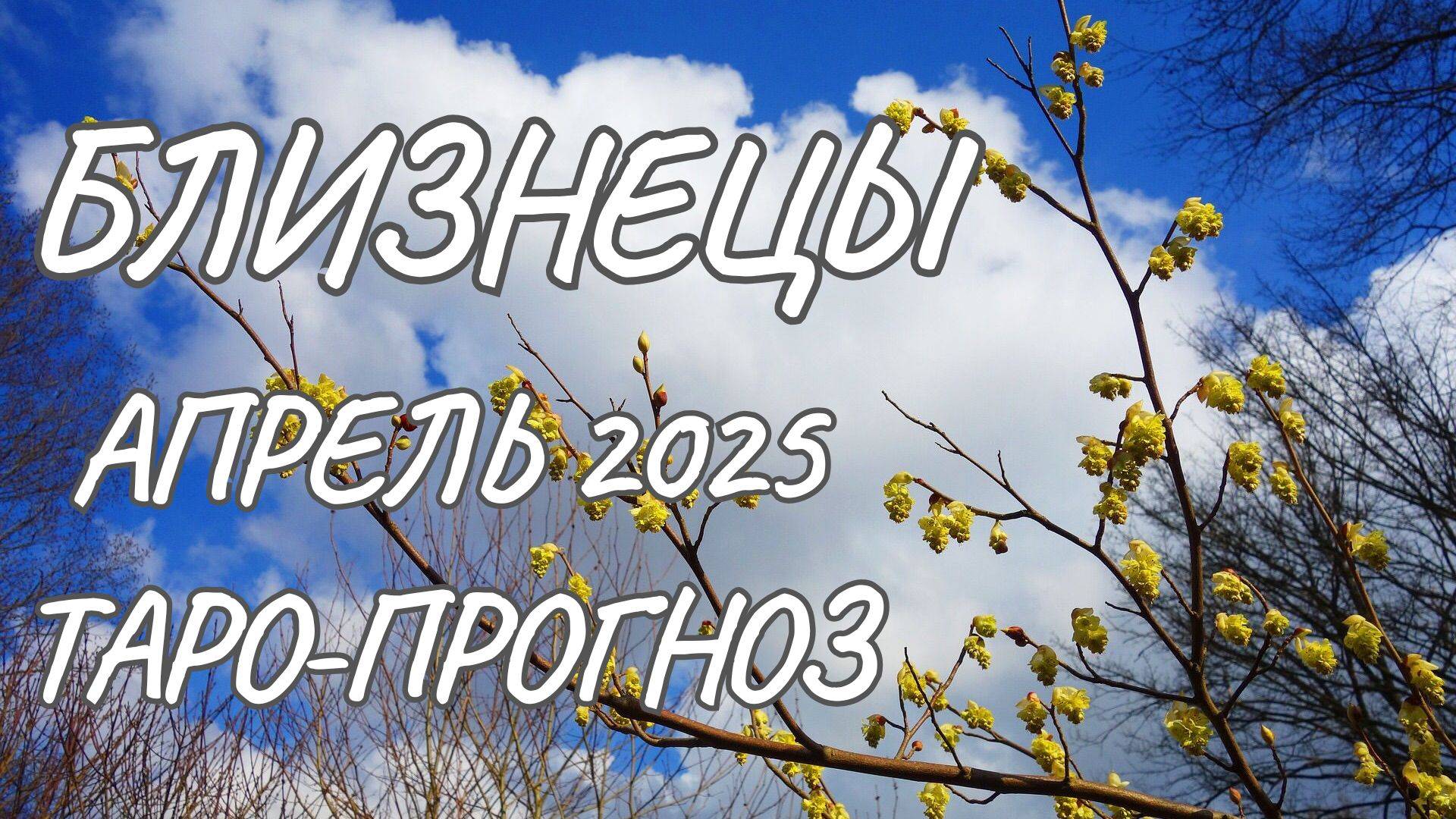 Близнецы ♊ Таро-прогноз на апрель 2025 года смотреть онлайн