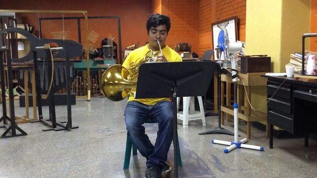 Richard Strauss - Till Eulenspiegel  (Horn solo)