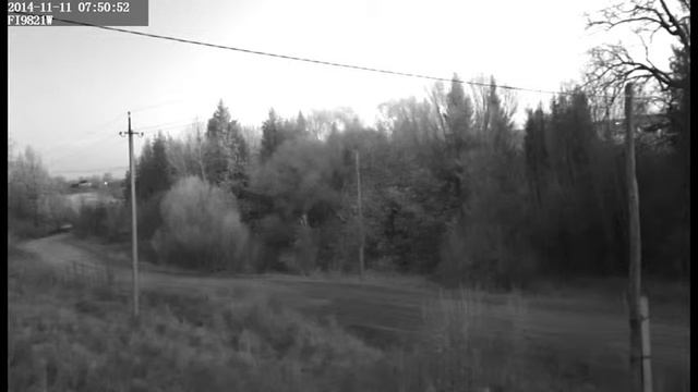 розкрадання Буковинсько лісу смотреть онлайн