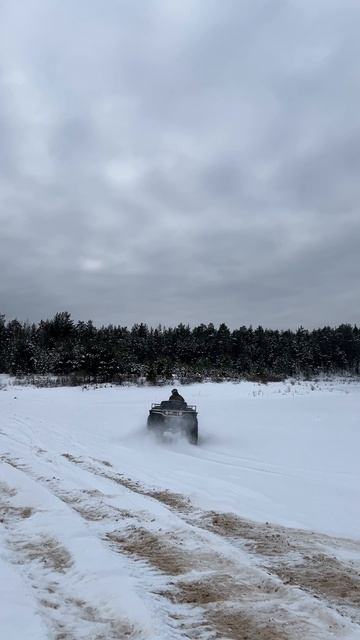 Квадроцикл T-REX 89063564902