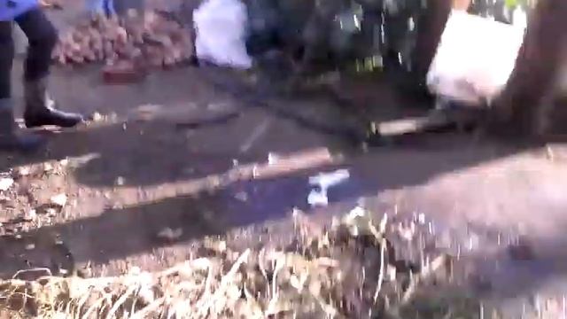 продолжение лопаем перчатки смотреть онлайн