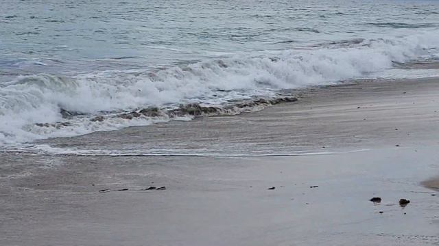 Beach tarpon action 9-17-22 смотреть онлайн