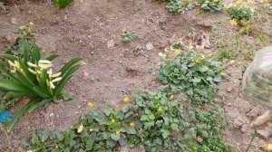 video_2025-03-17_08-13-02