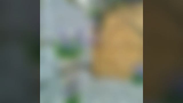 Дом в Кадышево посуточно 89872625283 смотреть онлайн