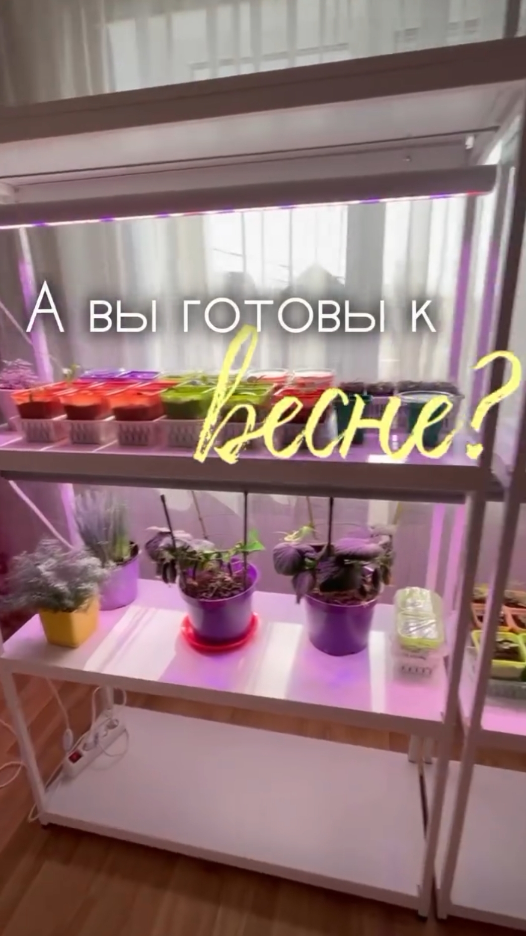 Вот и начался рассадный сезон. Куда разместить всю рассаду? Что делать, если ставить уже некуда? смотреть онлайн