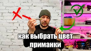 На сколько важен выбор цвета воблера для ловли хищной рыбы и как понять какой цвет лучше  ставить