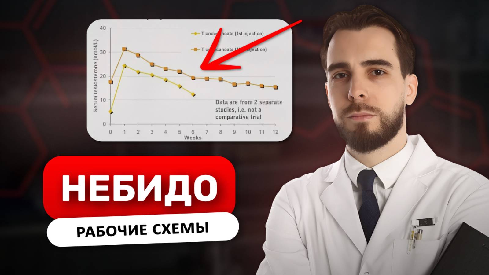 Небидо. Полный обзор. Тестостерон ундеканоат