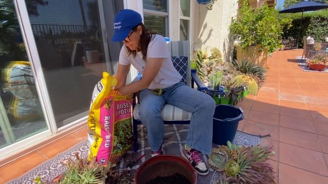 How to Rework an Overgrown Succulent Pot смотреть онлайн