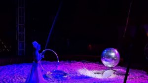 Побывали в цирке шапито«Империя Хищников»-15.03.2025 год(1 часть)