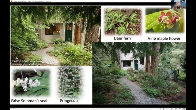 Three native plant gardens up close смотреть онлайн