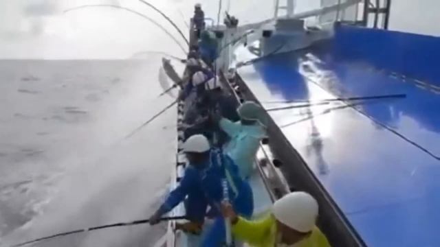 ПРИКОЛЫ НА РЫБАЛКЕ #6 смотреть онлайн