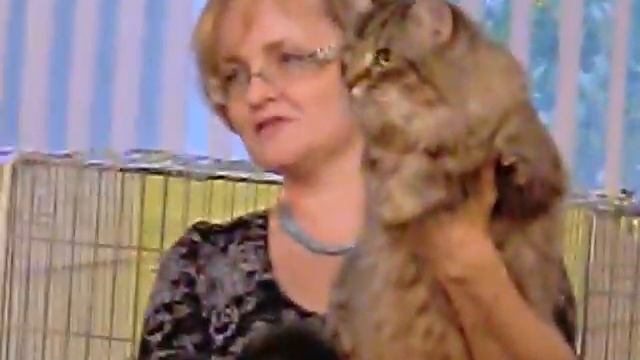 Арагон WCF-ринг взрослых.AVI смотреть онлайн