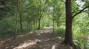 Прогулка по озеру Анкастер, английская сельская местность 4K