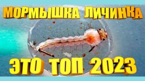 Без СЕКРЕТНОЙ Мормышки-Личинки уже не представляю как бы я рыбачил. Самодельная мормышка безмотылка