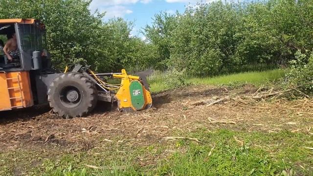 расчистка старого сада под ключ смотреть онлайн