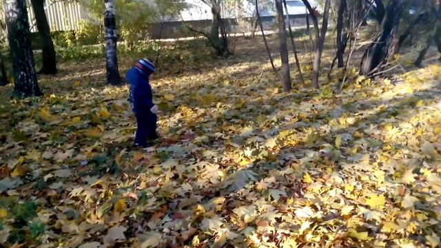 Каштаны посыпались 2 смотреть онлайн