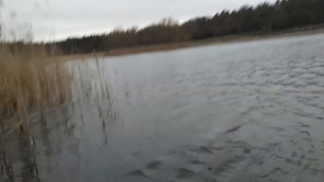 Щука второй трофей декабрь 2018 смотреть онлайн