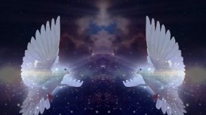 Футаж №469 Птицы Голуби