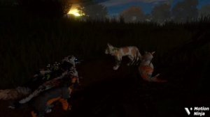 4 часть "Заражённый лес"! Коты воители роблокс! Warrior Cats Ultimate Edition Roblox!