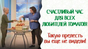Помидоры от посева до урожая. Проект «Мичурин-томаты». Еда +800% пользы. Успех гарантирован!