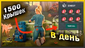 1500 Крышек в День! Где найти крышки в Ласт Дей! Last Day on Earth: Survival