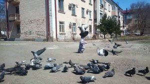 Гули,гули.