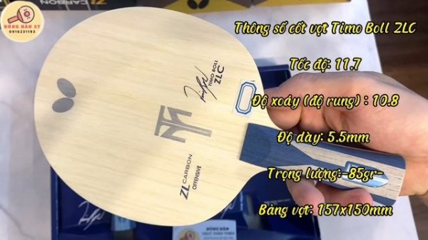 ✅ Timo Boll ALC vs Timo Boll ZLC, chiếc cốt nào phù hợp với lối chơi của bạn ?