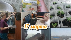 ✨️Как прошло дистанционное обучение / Порядок в прихожей / Суп в брикете🤔