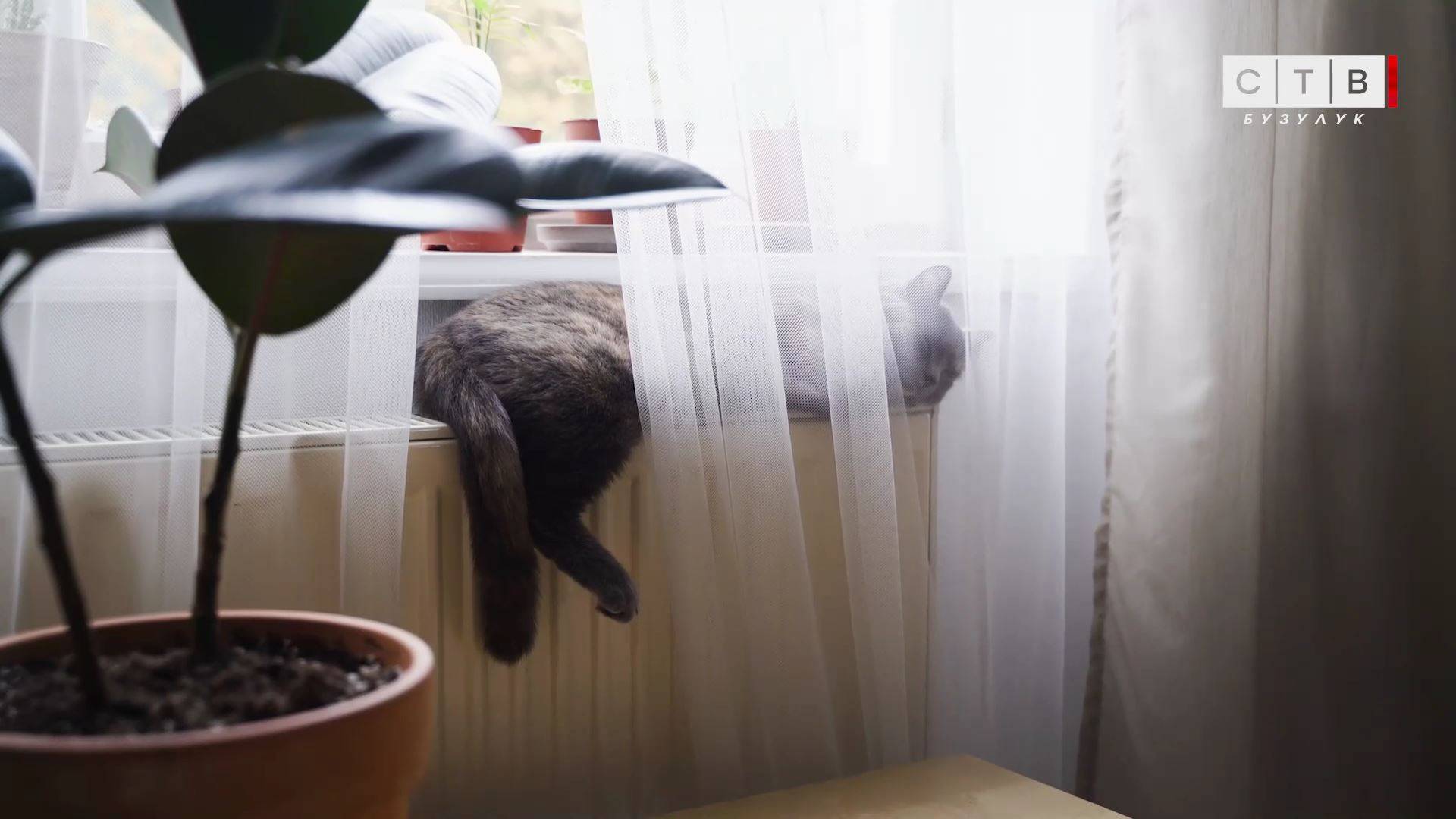 Мы работаем, чтобы в домах бузулучан было тепло и комфортно