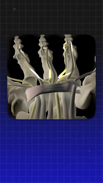 Ваша мышка может вас покалечить! смотреть онлайн