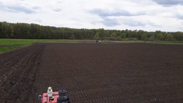 Посадка картошки возле дома. смотреть онлайн