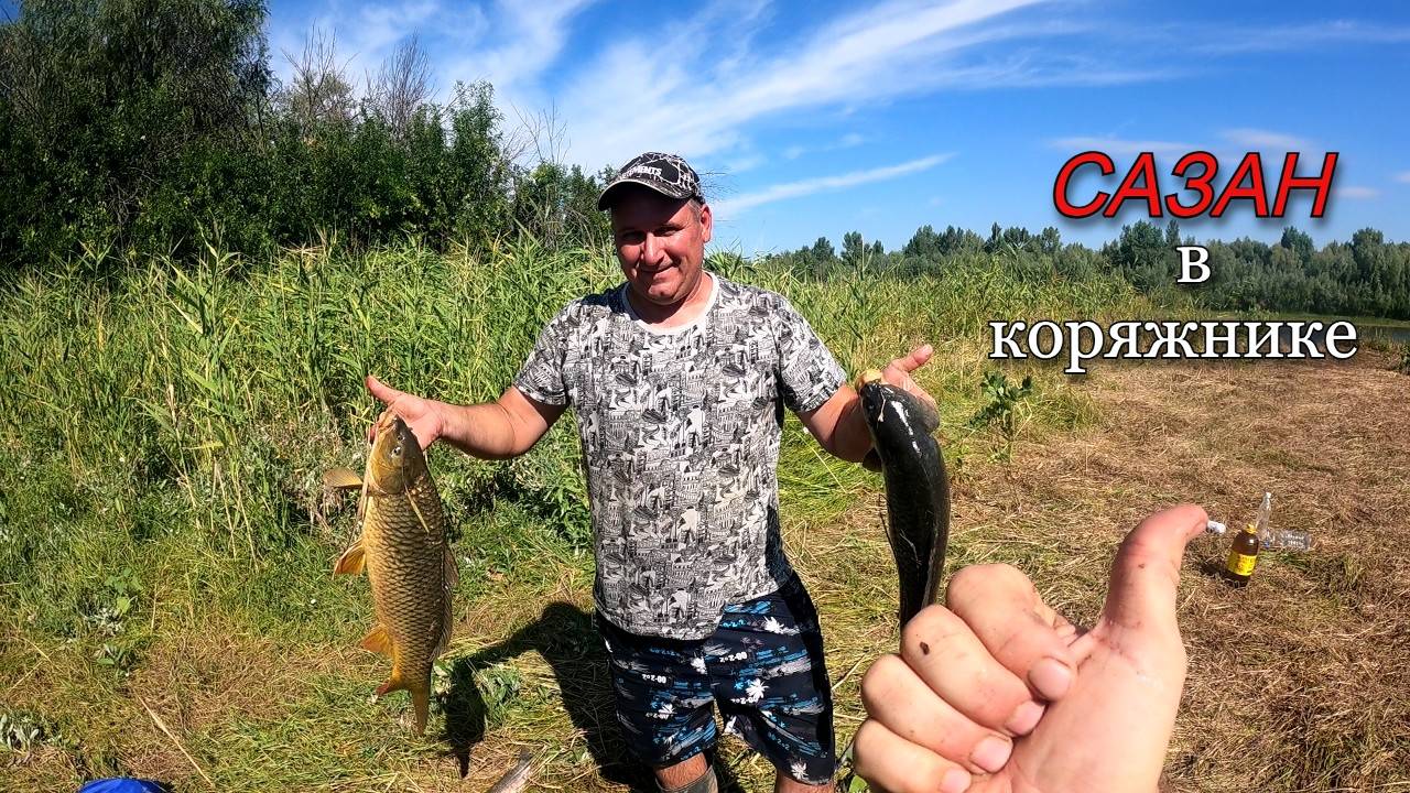 Рыбалка на донки в Августе. Пытаемся выловить САЗАНОВ из коряжника. смотреть онлайн