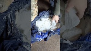 Карась сухого посола. Пять месяцев засолки.